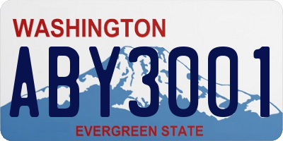 WA license plate ABY3001
