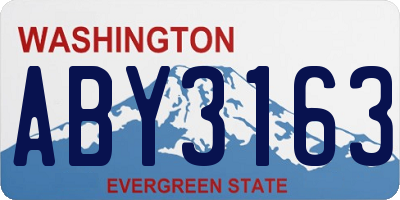 WA license plate ABY3163