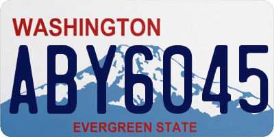 WA license plate ABY6045