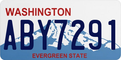 WA license plate ABY7291