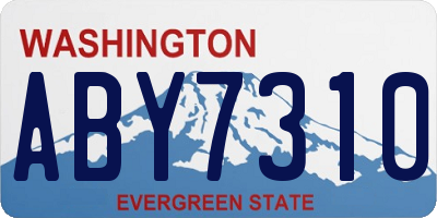 WA license plate ABY7310
