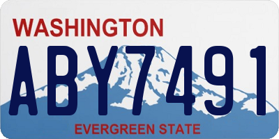 WA license plate ABY7491
