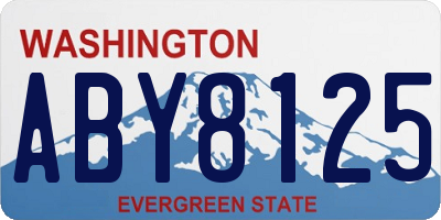 WA license plate ABY8125