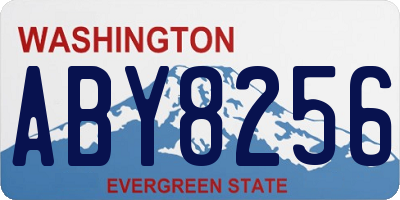 WA license plate ABY8256
