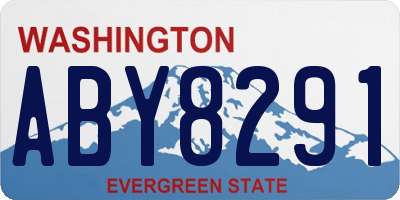 WA license plate ABY8291