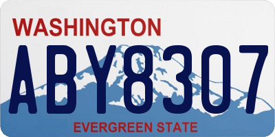 WA license plate ABY8307