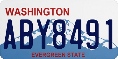 WA license plate ABY8491