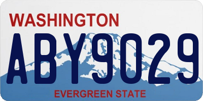 WA license plate ABY9029