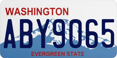WA license plate ABY9065