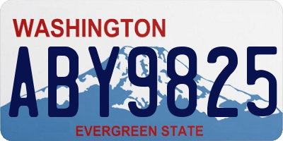 WA license plate ABY9825