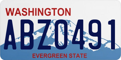 WA license plate ABZ0491
