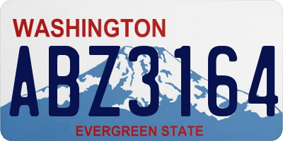 WA license plate ABZ3164