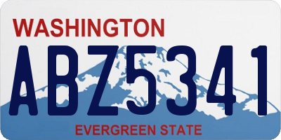 WA license plate ABZ5341