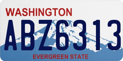 WA license plate ABZ6313