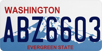 WA license plate ABZ6603