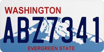 WA license plate ABZ7341