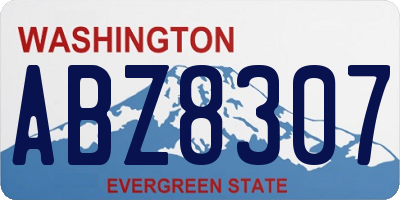 WA license plate ABZ8307