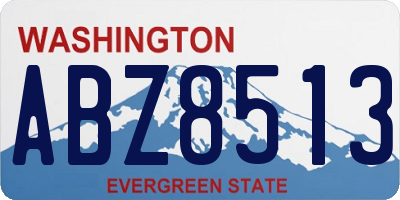 WA license plate ABZ8513