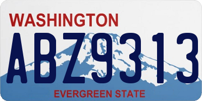 WA license plate ABZ9313