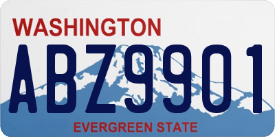 WA license plate ABZ9901