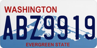 WA license plate ABZ9919