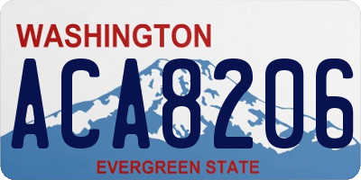 WA license plate ACA8206