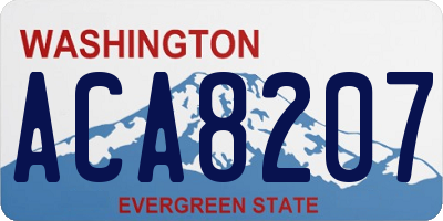 WA license plate ACA8207