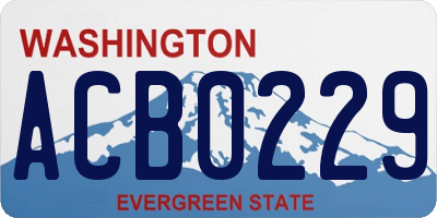 WA license plate ACB0229