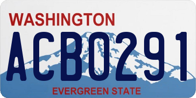 WA license plate ACB0291