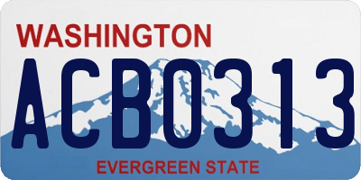 WA license plate ACB0313