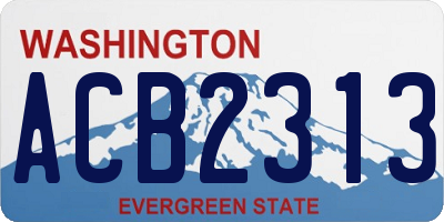 WA license plate ACB2313