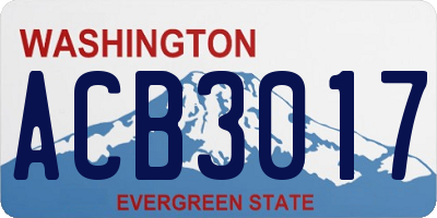 WA license plate ACB3017