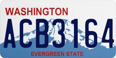 WA license plate ACB3164