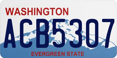 WA license plate ACB5307