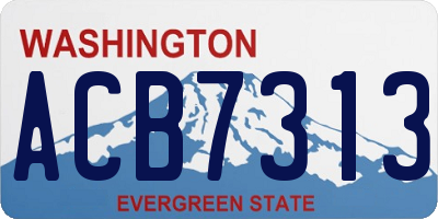 WA license plate ACB7313