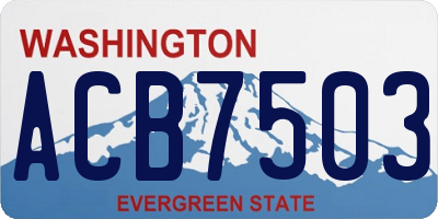 WA license plate ACB7503