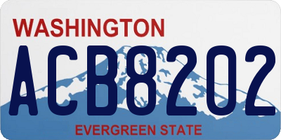 WA license plate ACB8202