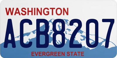 WA license plate ACB8207