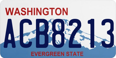 WA license plate ACB8213
