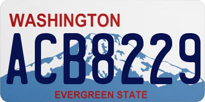 WA license plate ACB8229
