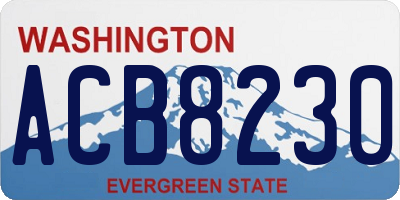 WA license plate ACB8230