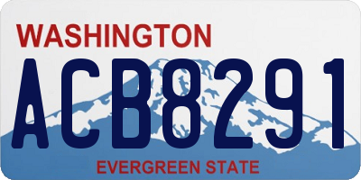 WA license plate ACB8291