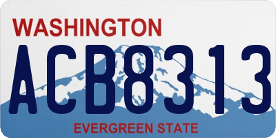 WA license plate ACB8313