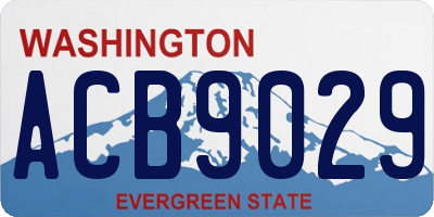 WA license plate ACB9029