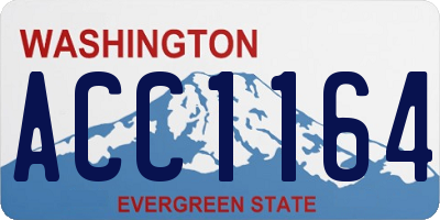 WA license plate ACC1164