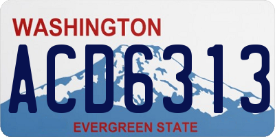 WA license plate ACD6313