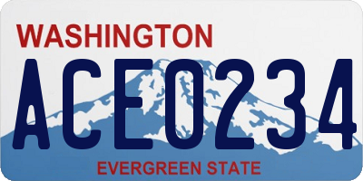 WA license plate ACE0234