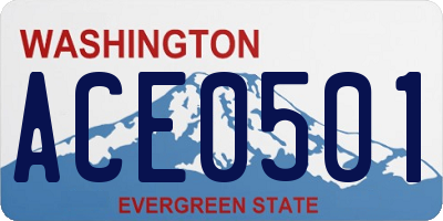 WA license plate ACE0501