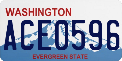 WA license plate ACE0596
