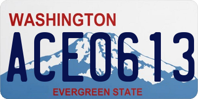 WA license plate ACE0613